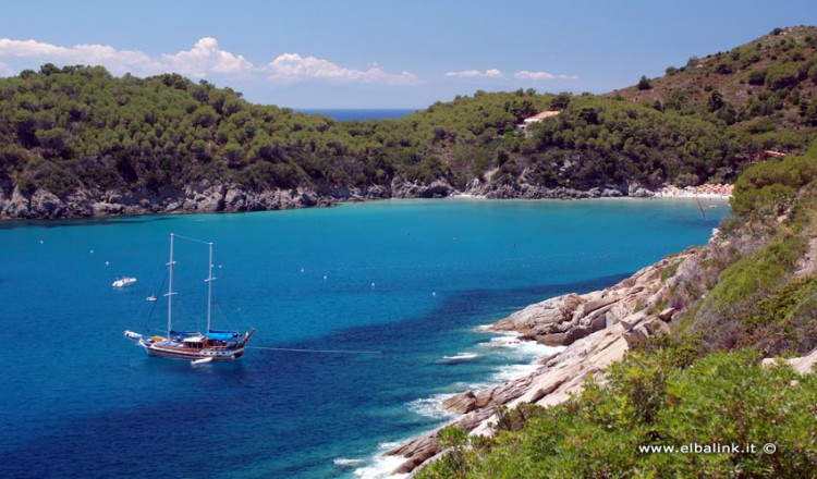 The Beach Of Fetovaia Elba Island Sandy Beaches