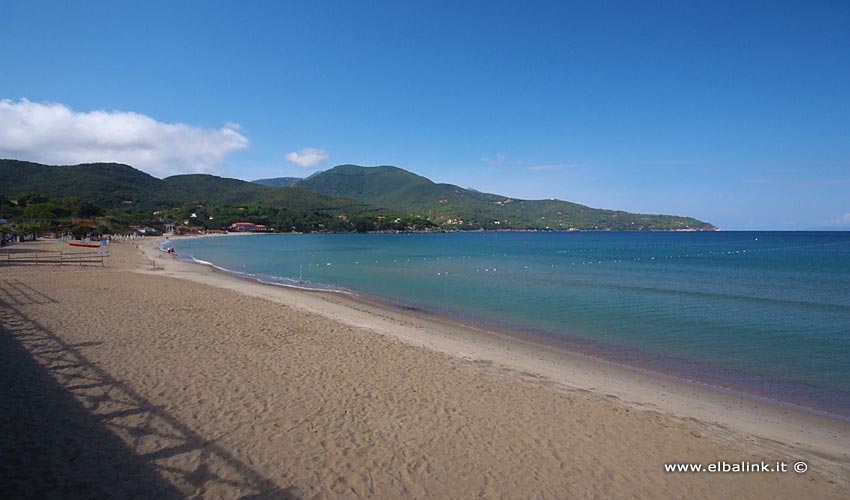 Beach Campo all'Aia in Procchio | Elba Island sandy beaches