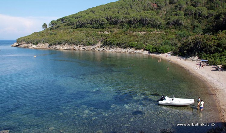 Beach of Istia on the Elba Island | Elba Island beaches